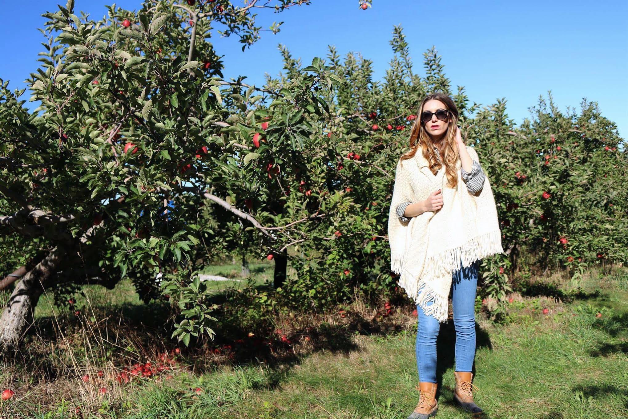 Fall Gingham Apple Picking