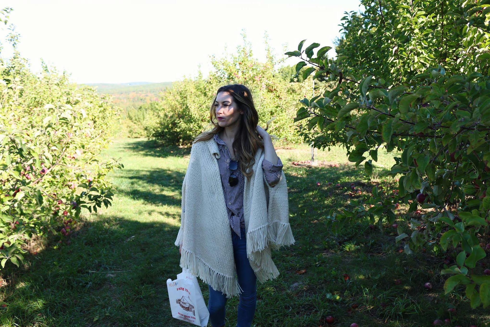 Fall Gingham Apple Picking