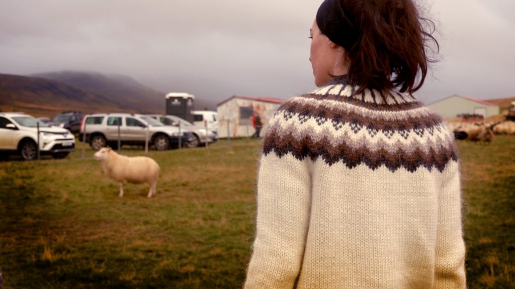 Cait Bagby wearing a traditional lopapeysa Icelandic sweater looking at a sheep at the annual rettir. Discussing ethical clothing with local farmers
