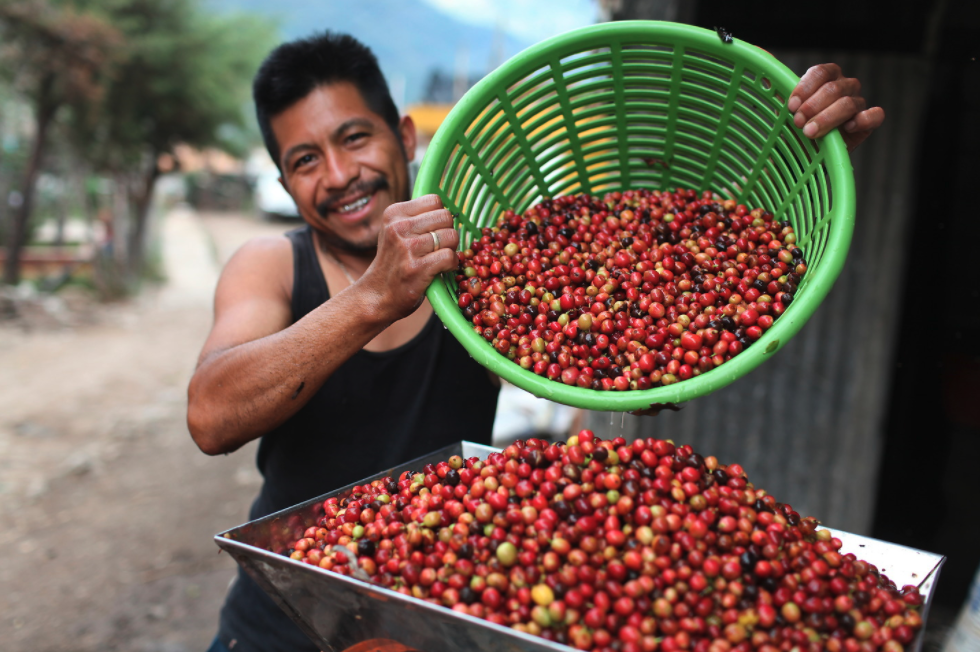 Examining the Challenges, Future, & Benefits of Fair Trade Photo of a young south american man holding a green bucket full of cacao beans