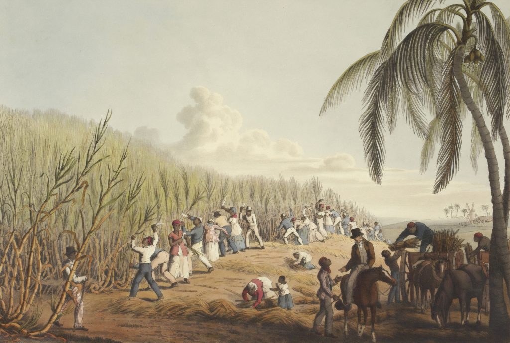 10 Million Enslaved in Bondage Labor Worldwide Historical painting of slaves working in a sugar cane field - Cait Bagby