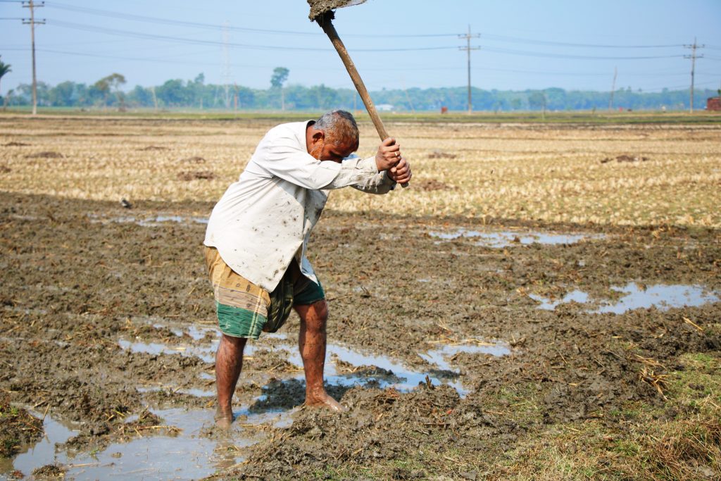 10 Million Enslaved in Bondage Labor Worldwide - Older Asian man holding a hoe above his head bringing it down into a muddy ditch - Cait Bagby
