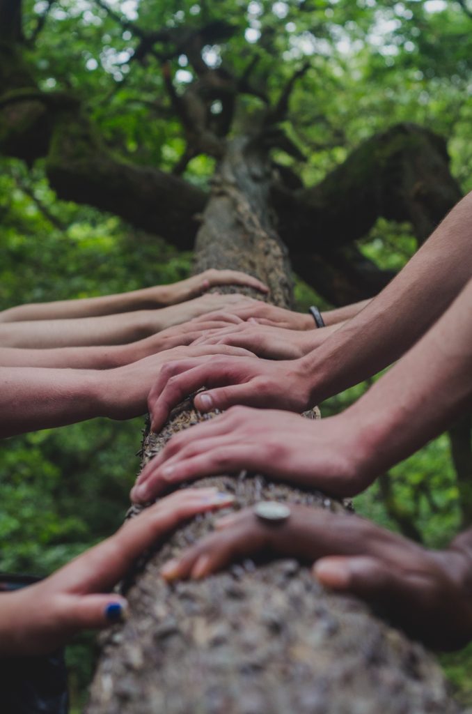 Benefits of Connecting with Nature World Threads Traveler - 10 hands of different ethnicities all places on a tree trunk.